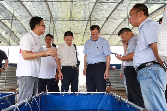 圖為在寧波大學海洋學院水產動物養(yǎng)殖團隊教師黨支部技術指導下建立的高密度養(yǎng)殖大棚 學校供圖.JPG