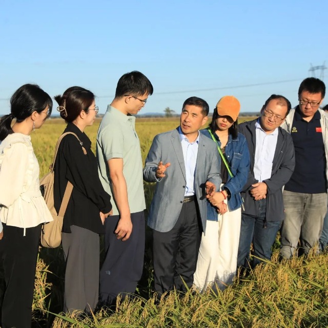 馬軍院士在稻田里授課。辛然攝.jpg
