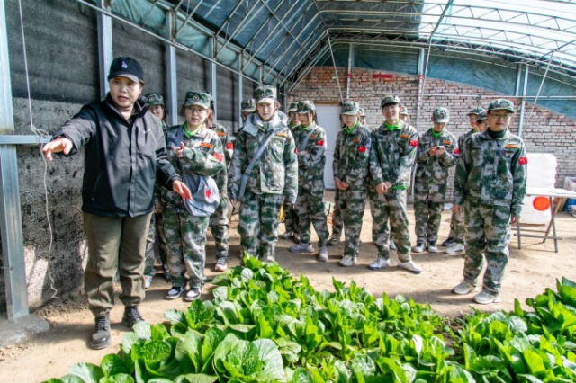 師生在第六埠村蔬菜大棚，了解蔬菜種植過(guò)程和常見病蟲害防治等知識(shí)。.jpg